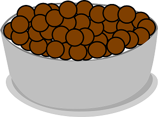 Bowl of Cereal